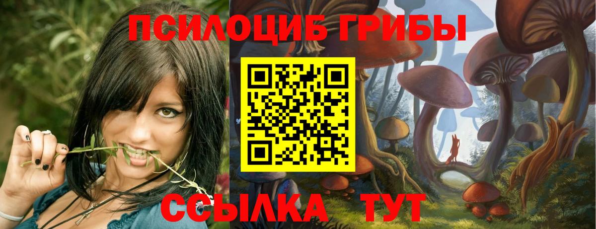Галлюциногенные грибы Psilocybine cubensis  Вход с VPN  Кузнецк 