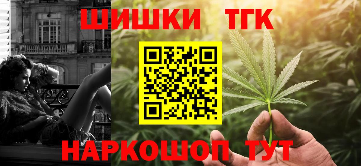 МЕФ Кузнецк